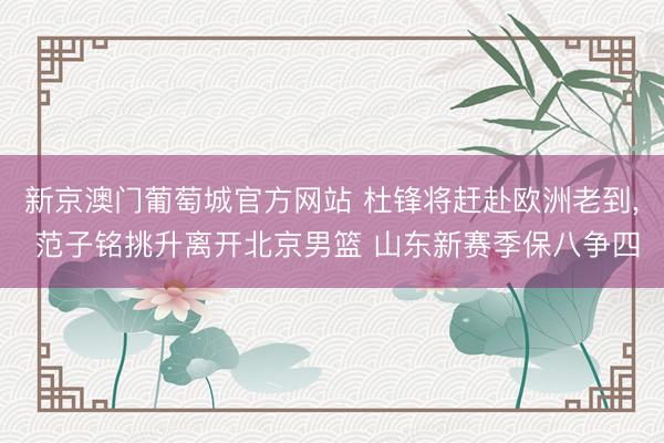 新京澳门葡萄城官方网站 杜锋将赶赴欧洲老到, 范子铭挑升离开北京男篮 山东新赛季保八争四