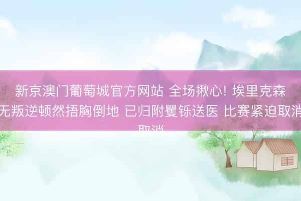新京澳门葡萄城官方网站 全场揪心! 埃里克森无叛逆顿然捂胸倒地 已归附矍铄送医 比赛紧迫取消