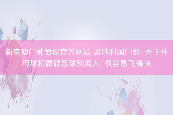 新京澳门葡萄城官方网站 奥地利国门群: 天下杯用球和庸碌足球别离大， 很容易飞得快