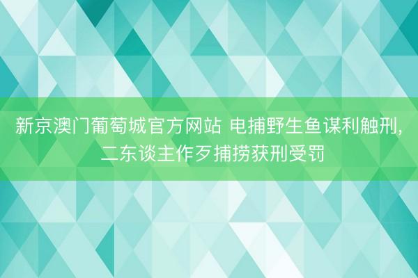 新京澳门葡萄城官方网站 电捕野生鱼谋利触刑, 二东谈主作歹捕捞获刑受罚