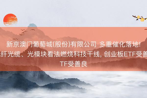 新京澳门葡萄城(股份)有限公司 多重催化落地! 光纤光缆、光模块看法燃烧科技干线， 创业板ETF受善良