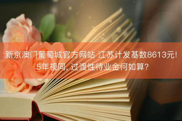 新京澳门葡萄城官方网站 江苏计发基数8613元! 5年视同, 过渡性待业金何如算?