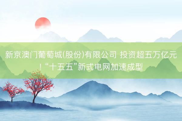 新京澳门葡萄城(股份)有限公司 投资超五万亿元! “十五五”新式电网加速成型