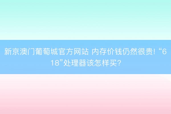 新京澳门葡萄城官方网站 内存价钱仍然很贵! “618”处理器该怎样买?