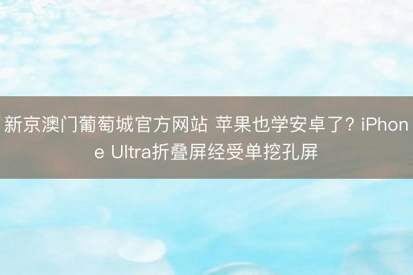 新京澳门葡萄城官方网站 苹果也学安卓了? iPhone Ultra折叠屏经受单挖孔屏