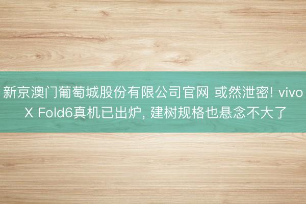 新京澳门葡萄城股份有限公司官网 或然泄密! vivo X Fold6真机已出炉， 建树规格也悬念不大了