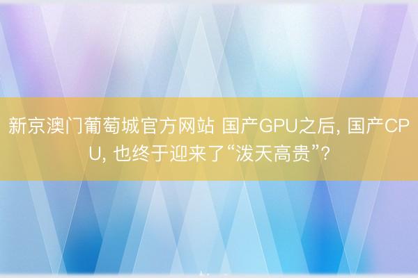 新京澳门葡萄城官方网站 国产GPU之后， 国产CPU， 也终于迎来了“泼天高贵”?