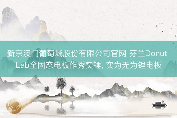 新京澳门葡萄城股份有限公司官网 芬兰Donut Lab全固态电板作秀实锤， 实为无为锂电板