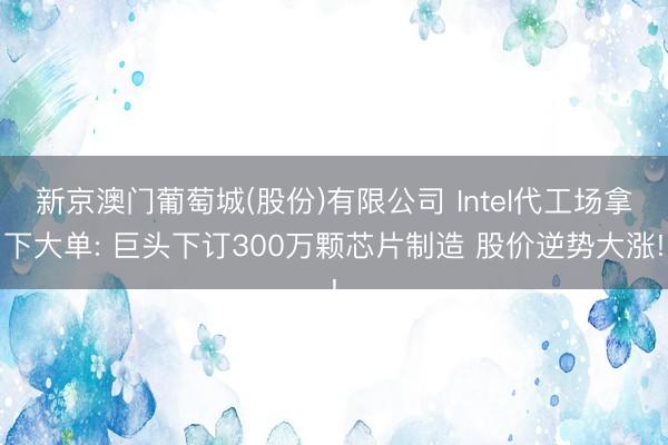 新京澳门葡萄城(股份)有限公司 Intel代工场拿下大单: 巨头下订300万颗芯片制造 股价逆势大涨!