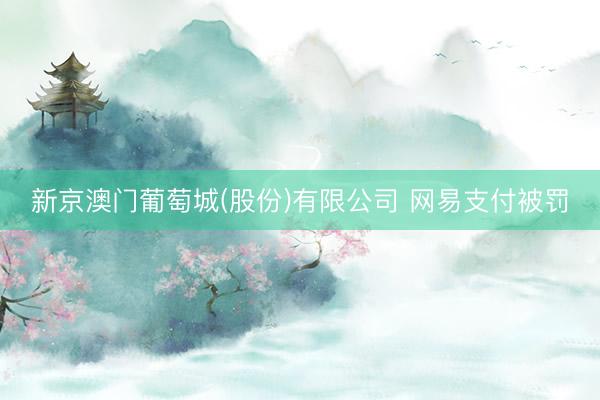 新京澳门葡萄城(股份)有限公司 网易支付被罚