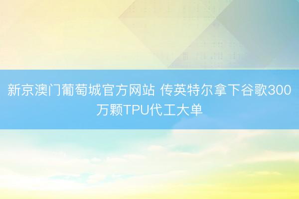新京澳门葡萄城官方网站 传英特尔拿下谷歌300万颗TPU代工大单