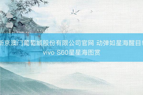 新京澳门葡萄城股份有限公司官网 动弹如星海醒目! vivo S60星星海图赏