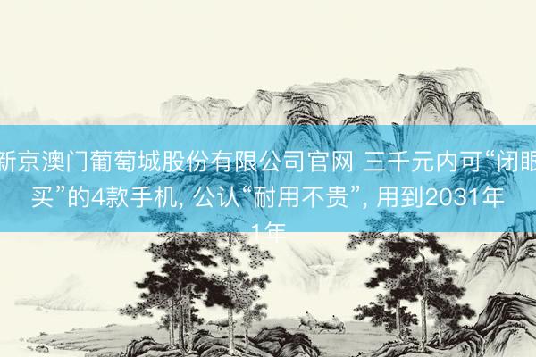 新京澳门葡萄城股份有限公司官网 三千元内可“闭眼买”的4款手机， 公认“耐用不贵”， 用到2031年