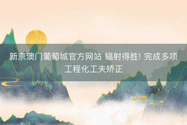 新京澳门葡萄城官方网站 辐射得胜! 完成多项工程化工夫矫正