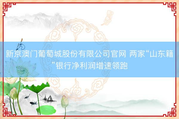 新京澳门葡萄城股份有限公司官网 两家“山东籍”银行净利润增速领跑